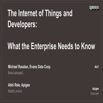The Internet of Things and Developers: What the Enterprise Needs to Know