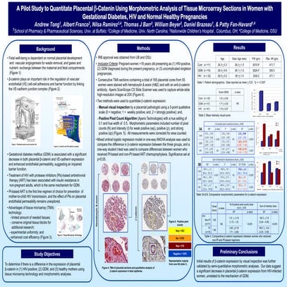 A pilot to quantitate plancental b catenin using morphometric analysis of tis...