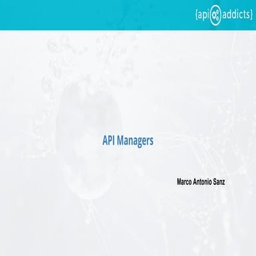 Api managers