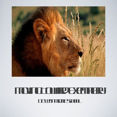 Ap interview presentation