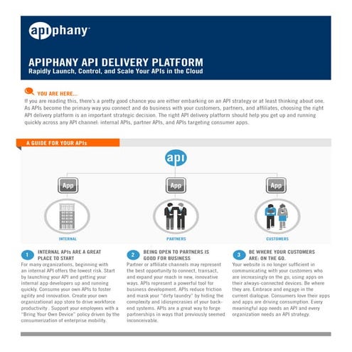Apiphany API Delivery Platform