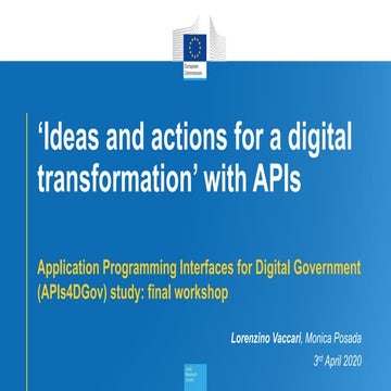 Application Programming interfaces for Governments: why, what and how