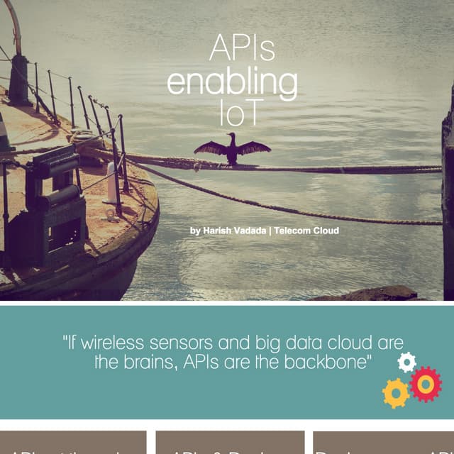 APIs enable IoT