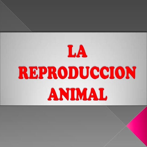 Apkarián larrosa trabajo final