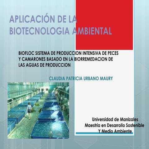 Aplicación de la biotecnologia ambiental trabajo individual claudia patricia urbano maury