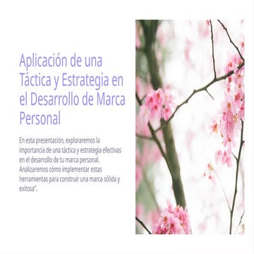 Aplicación de Tácticas y Estrategias para el Desarrollo de Marca ...