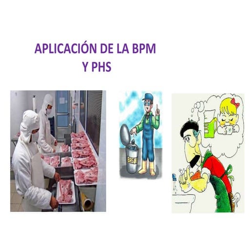 APLICACION DE BPM Y PHS.pptx