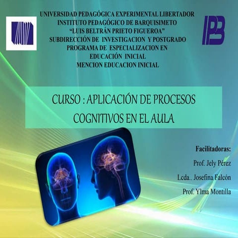 Aplicacion de procesos cognitivos en el aula