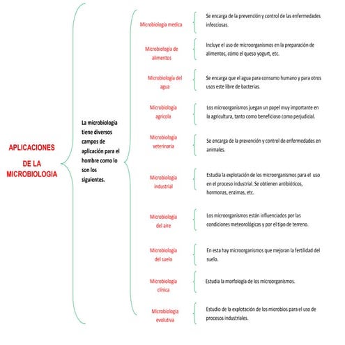 Aplicaciones de la microbiologia