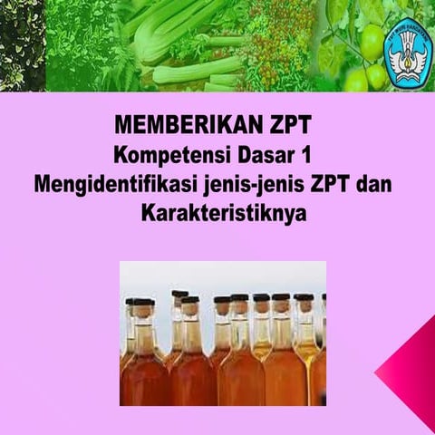 aplikasi zpt 1.pptx