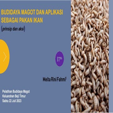 BUDIDAYA MAGOT.pptx