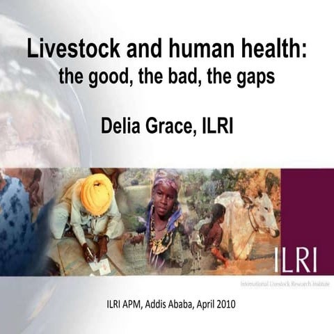 Livestock and human health: The good, the bad, the gaps