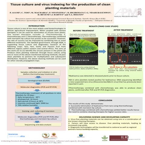 Tissue culture and virus indexing for the production of clean planting materials