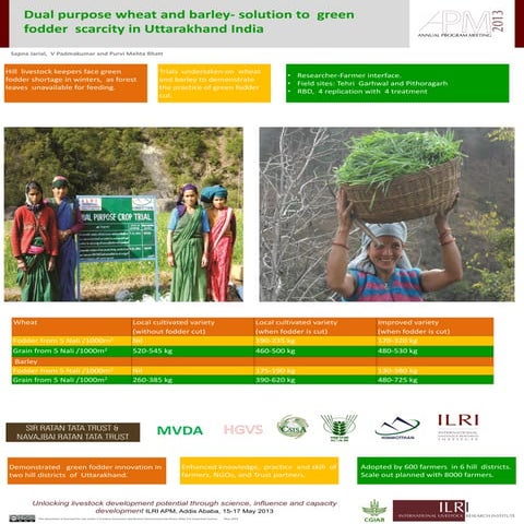 Dual purpose wheat and barley - Solution to green fodder scarcity in Uttarakh...