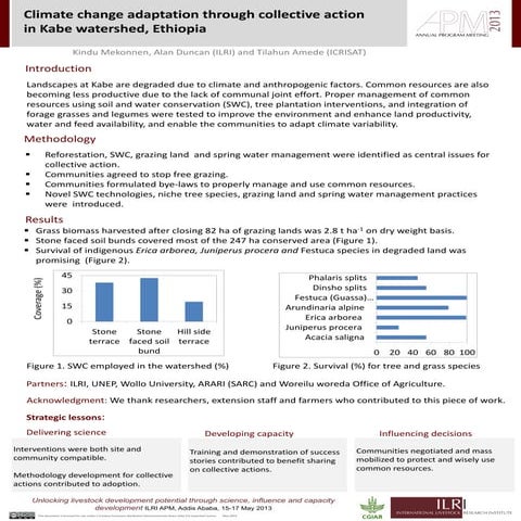 Climate change adaptation through collective action in Kabe watershed, Ethiopia