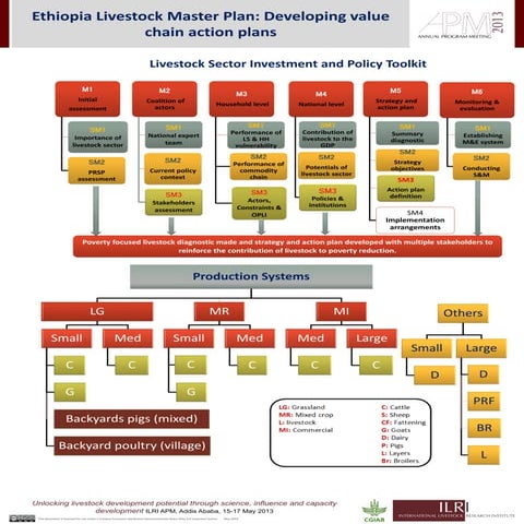 Ethiopia Livestock Master Plan: Developing value chain action plans | PDF