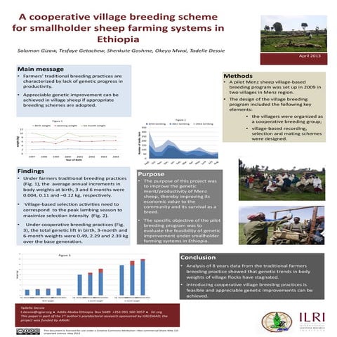 A cooperative village breeding scheme for smallholder sheep farming systems i...