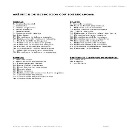 Apéndice de ejercicios de sobrecarga