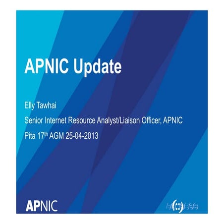 APNIC Update - Pita 17th AGM 2013
