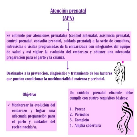 Comprehensive Prenatal Care: Monitoring, Risk Classification, and ...