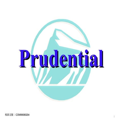 愛的承諾Apo 2010年版com99080204