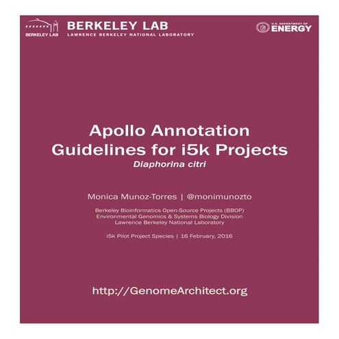 Apollo annotation guidelines for i5k projects Diaphorina citri