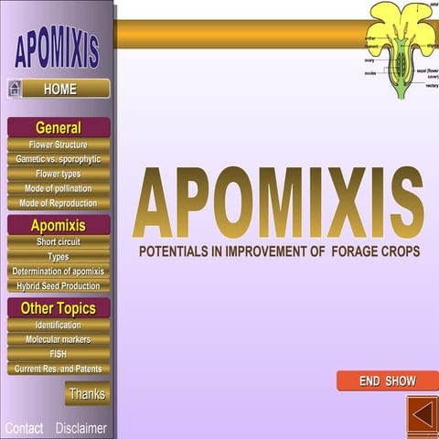 Apomixis
