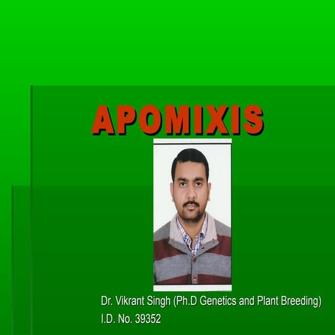 Apomixis