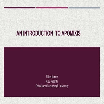 Apomixis