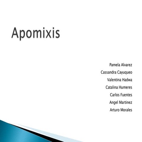 Apomixis