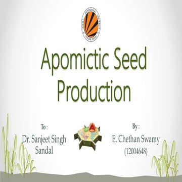 Apomixis 