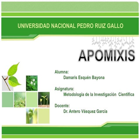 Apomixis[1]