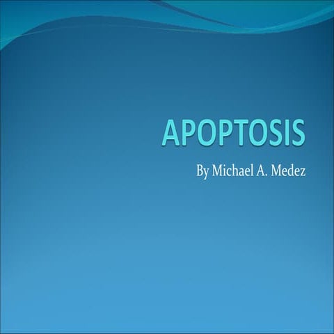 Apoptosis