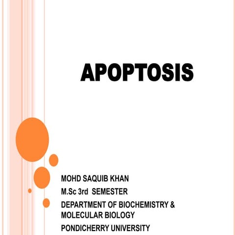 apoptosis-131115234500-phpapp02 (1).pdf