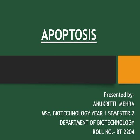 Apoptosis- p53 The guardian of the cell involved in Intrinsic Pathway of Apoptosis