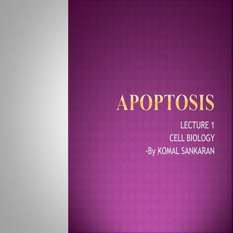 Apoptosis