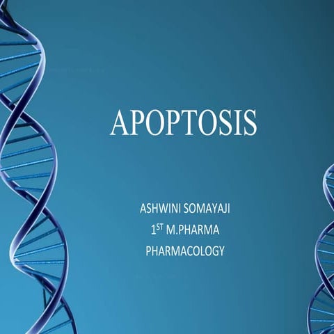 Apoptosis
