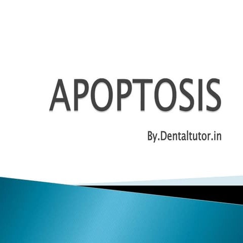 Apoptosis