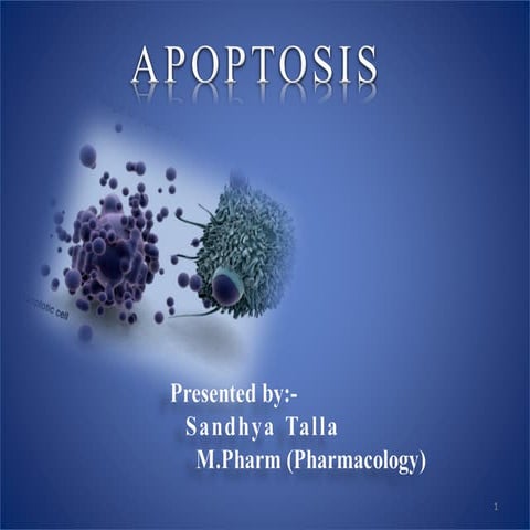 Apoptosis