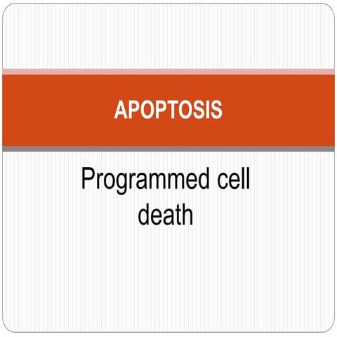 Apoptosis