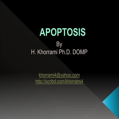 Apoptosis