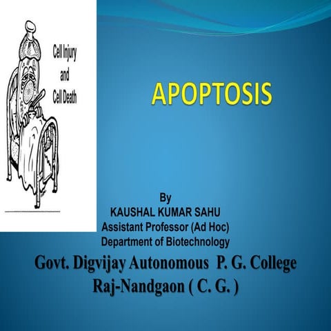Apoptosis, program cell death