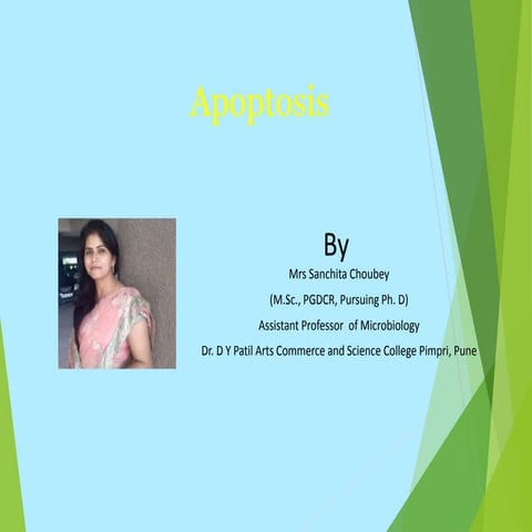 Apoptosis