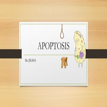 Apoptosis