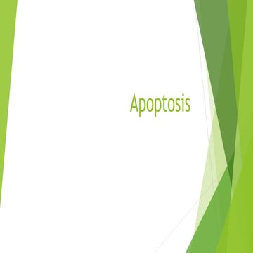 Apoptosis.pptx