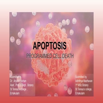 Apoptosis : caspases, extrinsic and intrinsic  pathways.