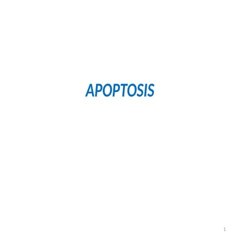 Apoptosis physiology important topic theory