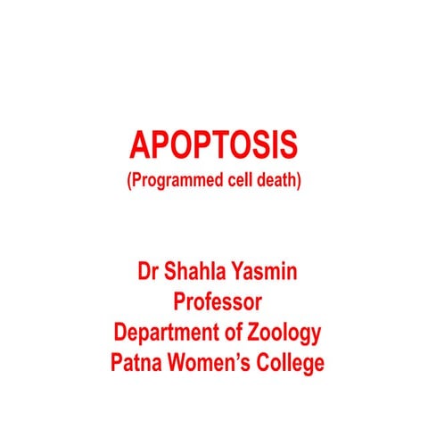 apoptosis-class.pdf nothing else  so no need to worry