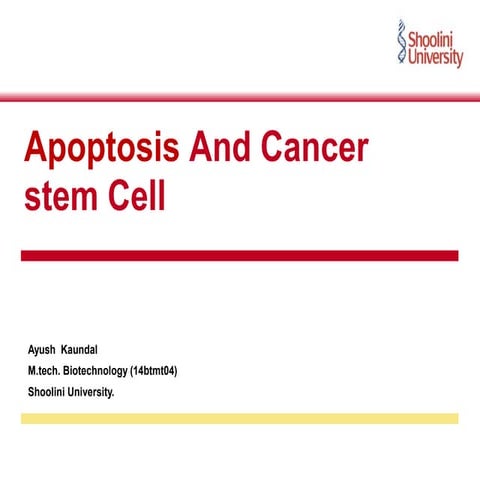Apoptosis and cancer stem cell | PPT