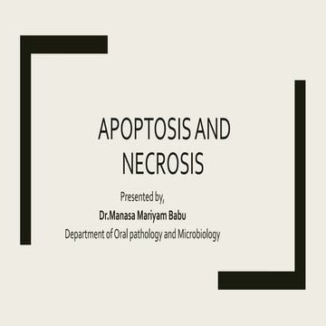 APOPTOSIS AND NECROSIS.pptx